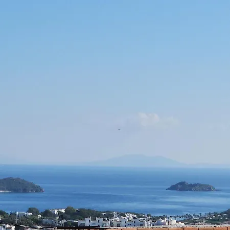 Tranquil Seaview With Private Pool In 博德鲁姆