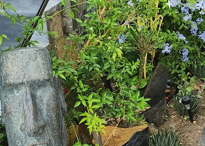 Tranquil Seaview With Private Pool In Daire