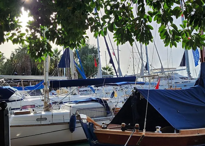 Tranquil Seaview With Private Pool In Daire Bodrum