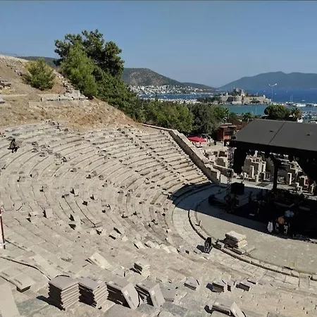 Tranquil Seaview With Private Pool In בודרום