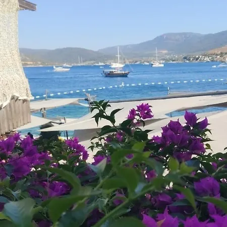 Tranquil Seaview With Private Pool In דירה בודרום