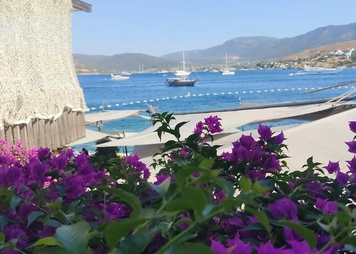 Tranquil Seaview With Private Pool In Appartement Bodrum